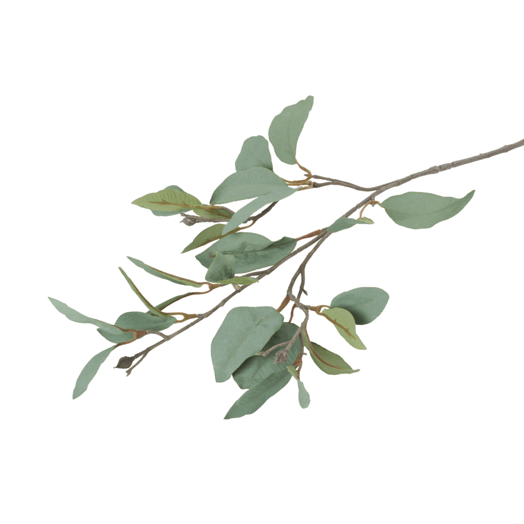 Magnolia Sage - Blooms By Samuel Baker